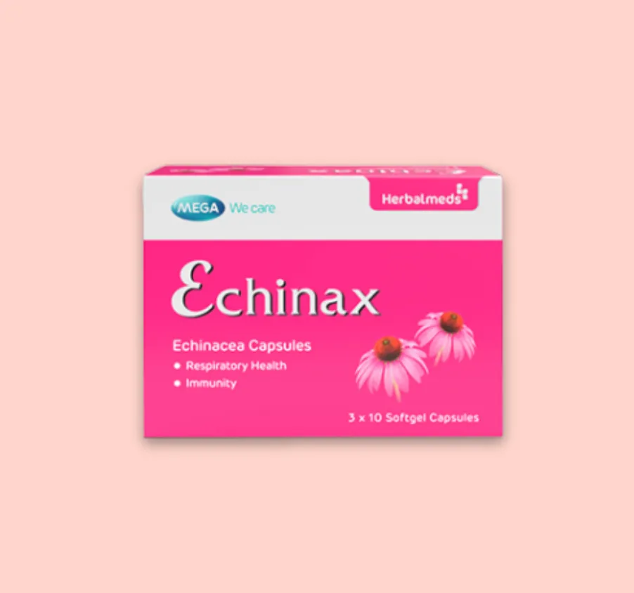 ECHINAX 01