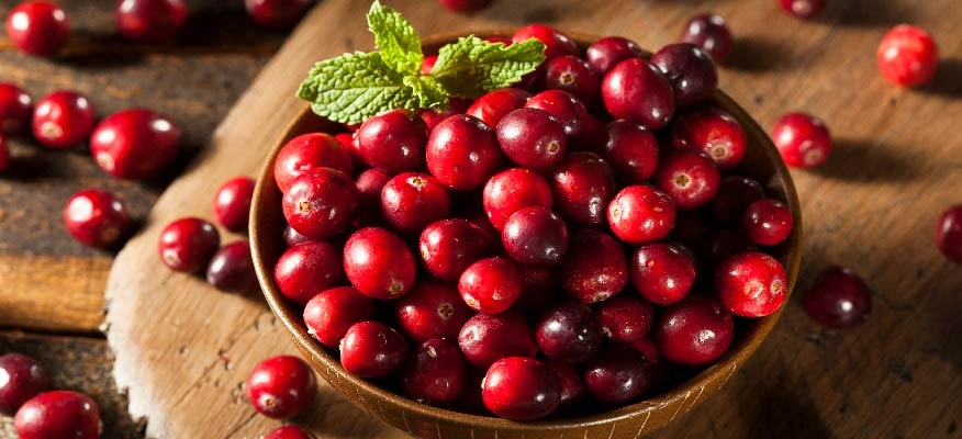 Did you know consuming cranberries could prevent recurrent urinary tract infections?