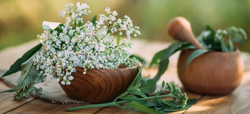 Learn about valerian root benefits for restorative sleep